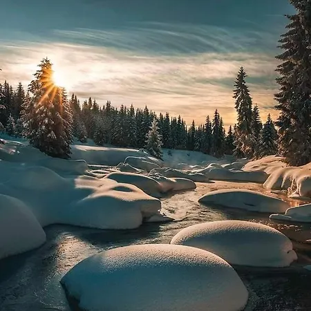 Lägenhet Izerska Weranda - Gorski 120m2