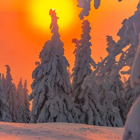 Lägenhet Izerska Weranda - Gorski 120m2 Świeradów-Zdrój