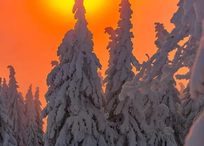 Lägenhet Izerska Weranda - Gorski 120m2 Świeradów-Zdrój